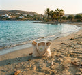 The Solmira Everyday Tote